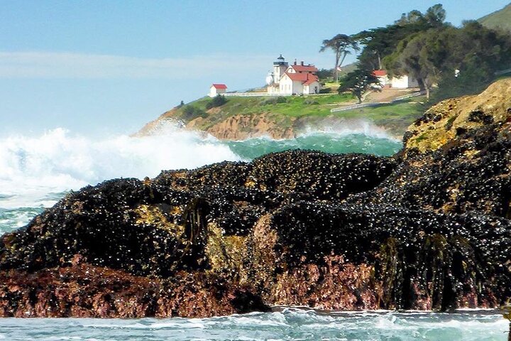 Kystvandreture på Californiens centrale kyst