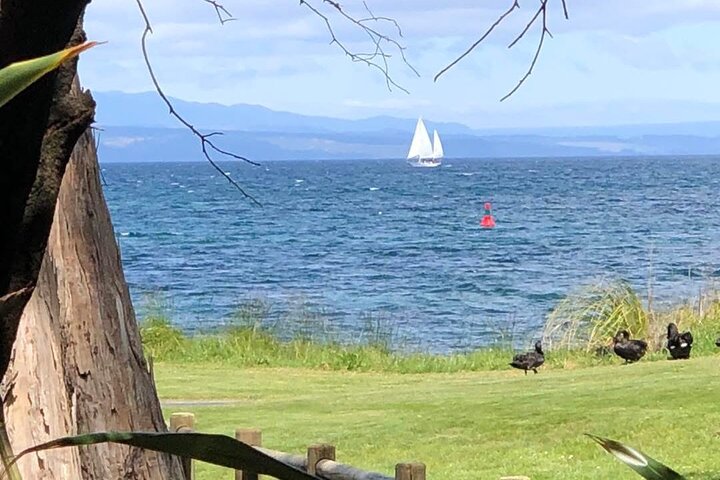 Eco Sailing Tour till Maori hällristningar på Lake Taupo