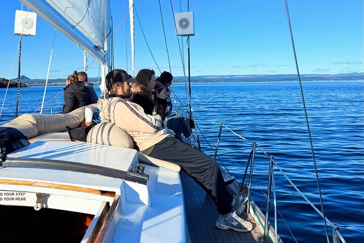 Eco Sailing Tour till Maori hällristningar på Lake Taupo