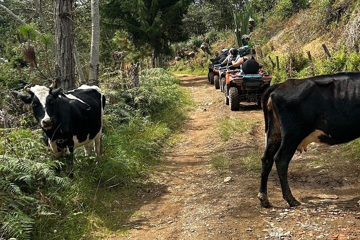 Medellin: Aventura Off-Road en ATV, Quad-Adrenalina-cascada