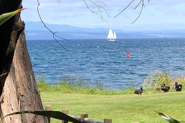 Soirée Eco Sailing Adventure à Māori Rock Carvings Lac Taupō