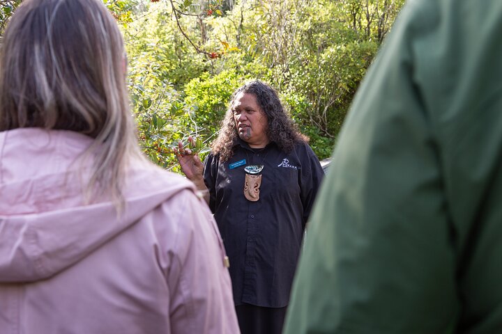Tour guidato di 1 ora del Pūkaha National Wildlife Centre