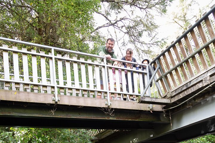 Tour guidato di 1 ora del Pūkaha National Wildlife Centre