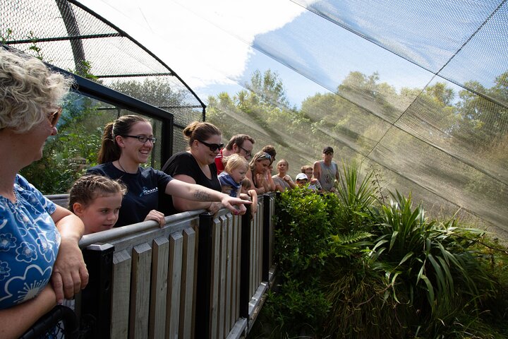 Tour guidato di 1 ora del Pūkaha National Wildlife Centre