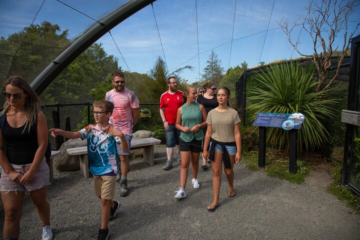 Tour guidato di 1 ora del Pūkaha National Wildlife Centre