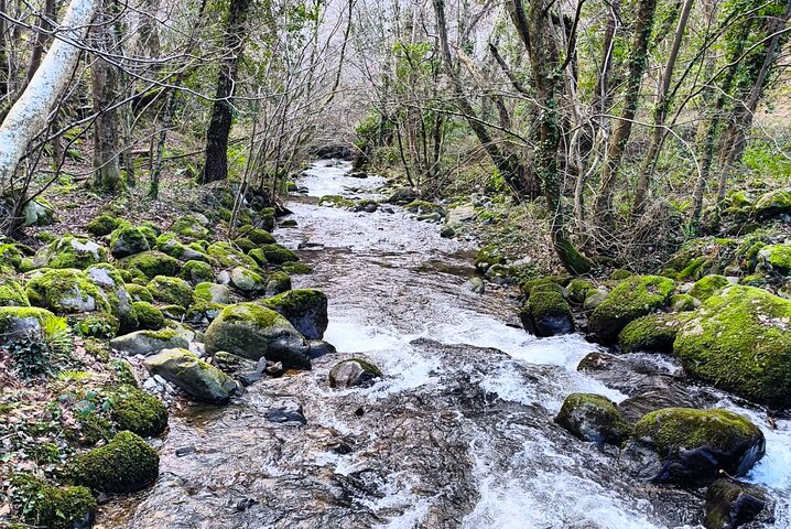 Escursione privata Montagne di Snowdonia Laghi e cascate