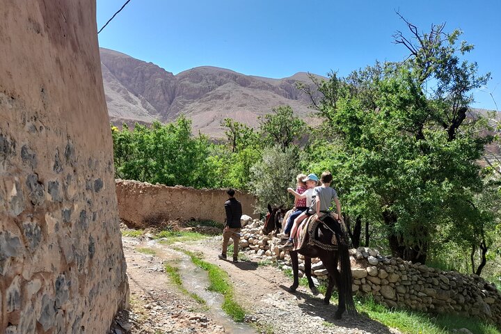 Cañón de los dedos de mono de la garganta de Dades guiado con experiencia local
