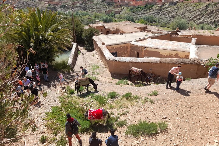 Cañón de los dedos de mono de la garganta de Dades guiado con experiencia local