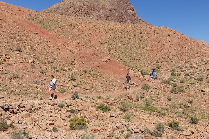 Cañón de los dedos de mono de la garganta de Dades guiado con experiencia local