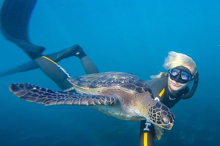 Begeleide snorkeltour door La Jolla Cove met zeeleeuwen en zeegrotten
