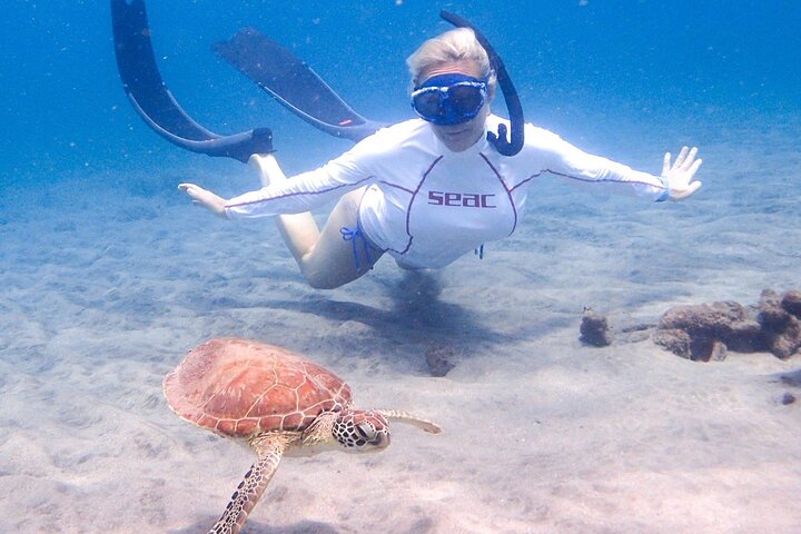 Begeleide snorkeltour door La Jolla Cove met zeeleeuwen en zeegrotten