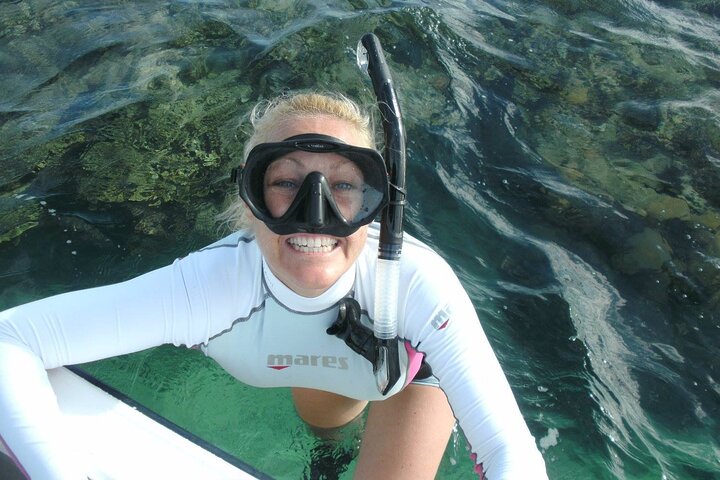 Begeleide snorkeltour door La Jolla Cove met zeeleeuwen en zeegrotten