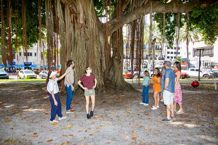 Geführte Besichtigungstour durch St. Pete im Deluxe-Golfwagen mit Straßenzulassung