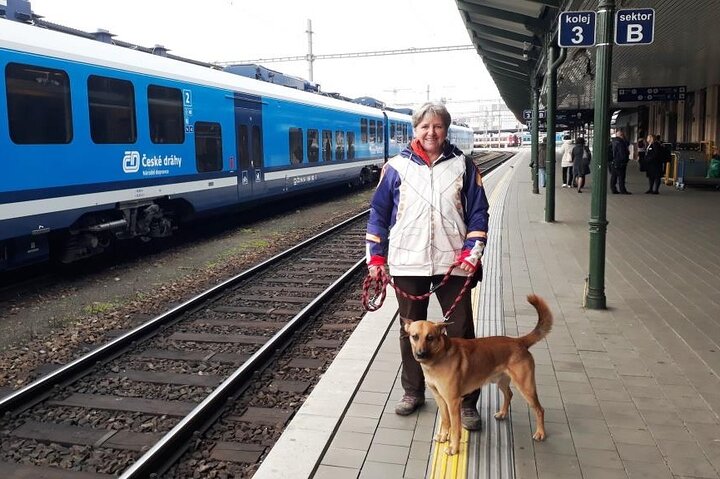 Viaggio al campo di battaglia di Austerlitz vicino a BRNO nella Repubblica Ceca