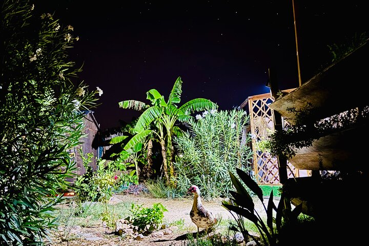 Astronomy Night - Familie Stargazing i Finca Astronomica