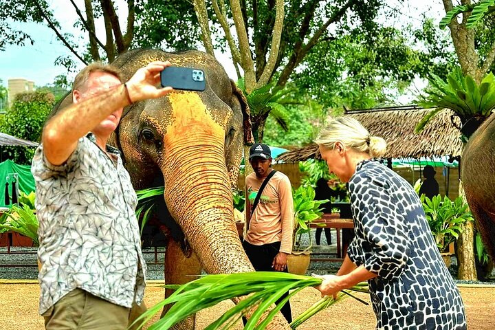 Koh Samui : Elephant Nature Care, il più grande santuario degli elefanti