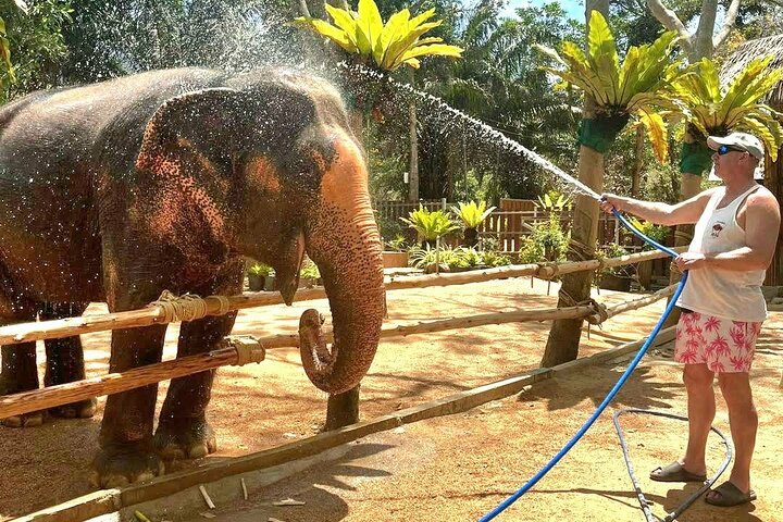 Koh Samui : Elephant Nature Care, il più grande santuario degli elefanti