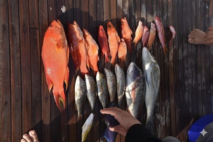 Privat båd , fiskeri , snorkling , delfiner & frokost – Hurghada