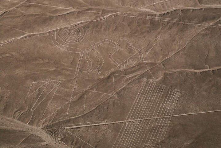 Desde Ica Sobrevuelo las Líneas de Nazca con traslados incluidos