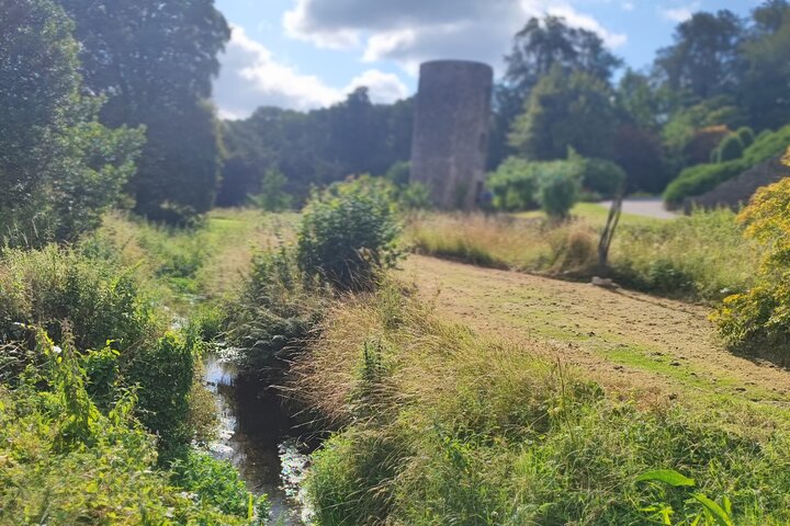 Tour privado, Castillo de Blarney, destilería Jameson y Cobh.