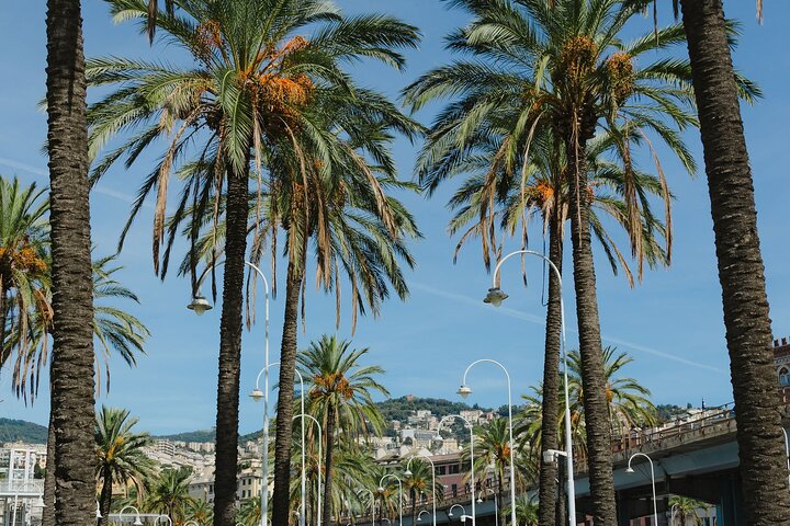 Genua: Portofino guidad strandutflykt och privat båttur