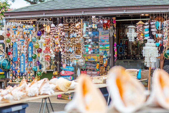 Oahu : Excursion d'une journée complète ou d'une demi-journée sur l'île du Grand Cercle