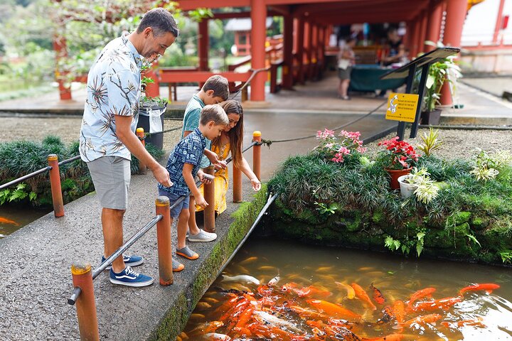 Oahu : Excursion d'une journée complète ou d'une demi-journée sur l'île du Grand Cercle