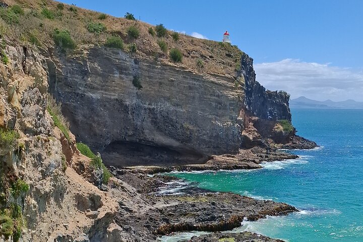 Private Dunedin & Otago Peninsula Tours Opptil 4 personer