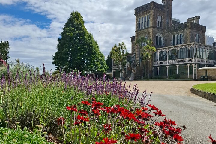 Private Dunedin & Otago Peninsula Tours Opptil 4 personer
