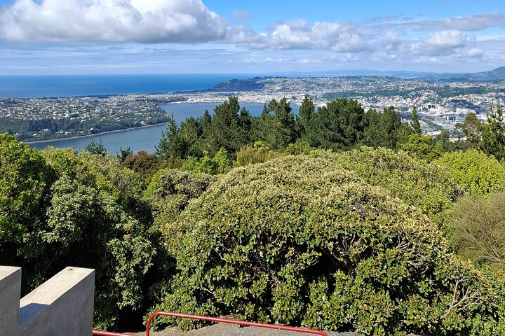 Private Dunedin & Otago Peninsula Tours Opptil 4 personer