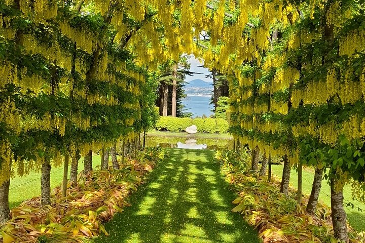 Private Dunedin & Otago Peninsula Tours Opptil 4 personer