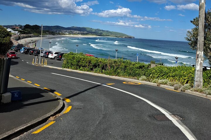 Private Dunedin & Otago Peninsula Tours Opptil 4 personer