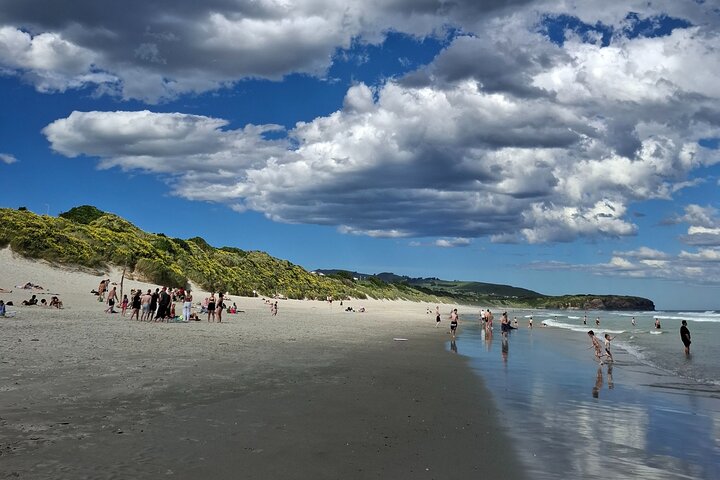 Private Dunedin & Otago Peninsula Tours Opptil 4 personer