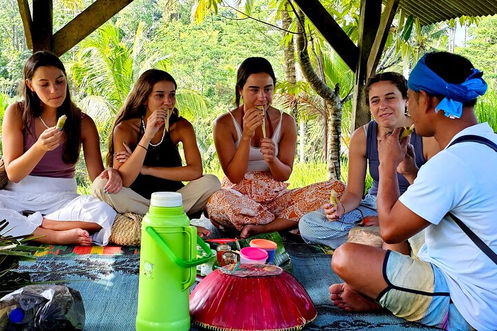Lombok Private Trip: 4 vannfall, risfelt og jungeltrekk