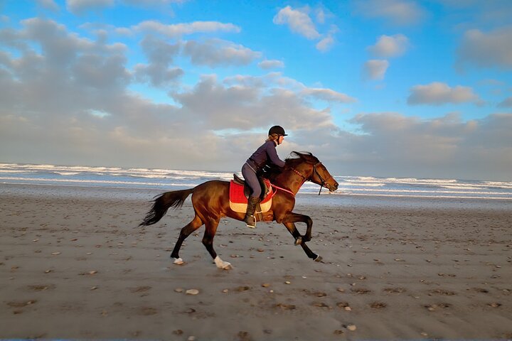 Paardrijden op Essaouira Beach Flexibele duur en zonsondergang