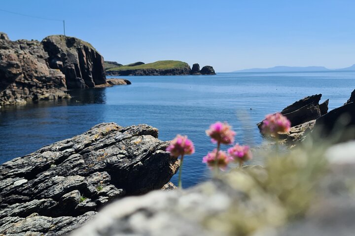 Tour privato di un giorno della Slieve League e del Donegal sudoccidentale