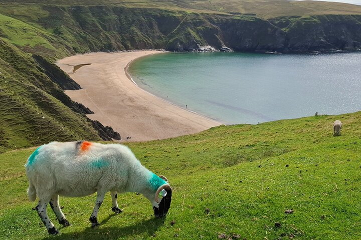 Tour privato di un giorno della Slieve League e del Donegal sudoccidentale