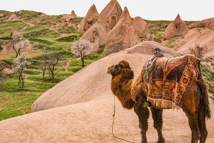 Capadocia Magics : Tour de 3 días que incluye paseo en camello y en globo