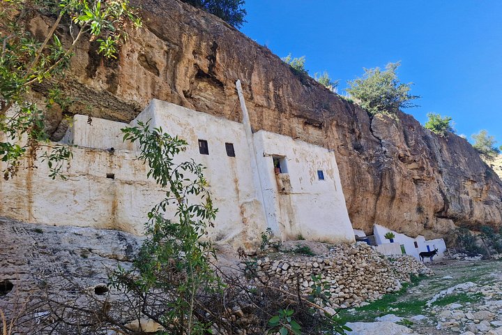 Excursión de un día: Naturaleza y desierto de Essaouira