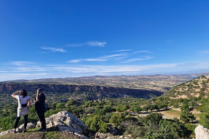 Excursión de un día: Naturaleza y desierto de Essaouira