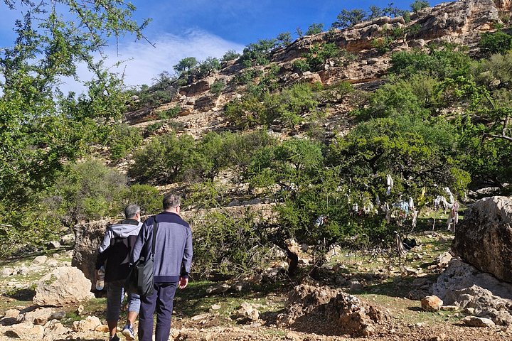 Excursión de un día: Naturaleza y desierto de Essaouira