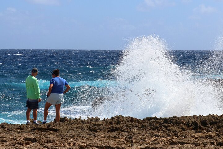 Private Tour in South Bonaire - Flamingos and Salt flats
