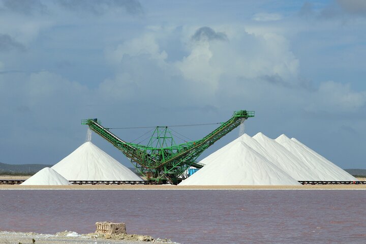 Private Tour in South Bonaire - Flamingos and Salt flats
