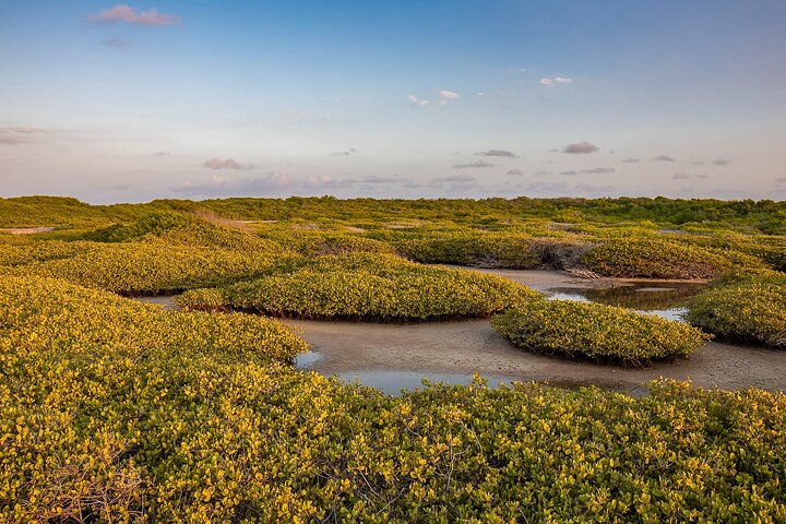 Private Tour in South Bonaire - Flamingos and Salt flats