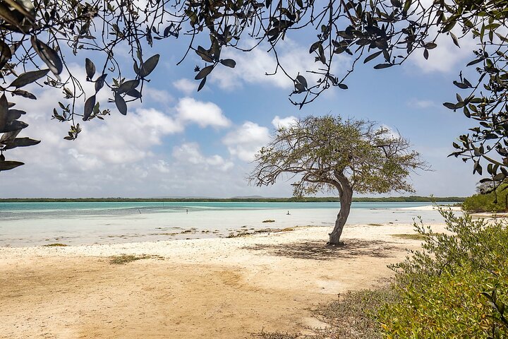 Private Tour in South Bonaire - Flamingos and Salt flats