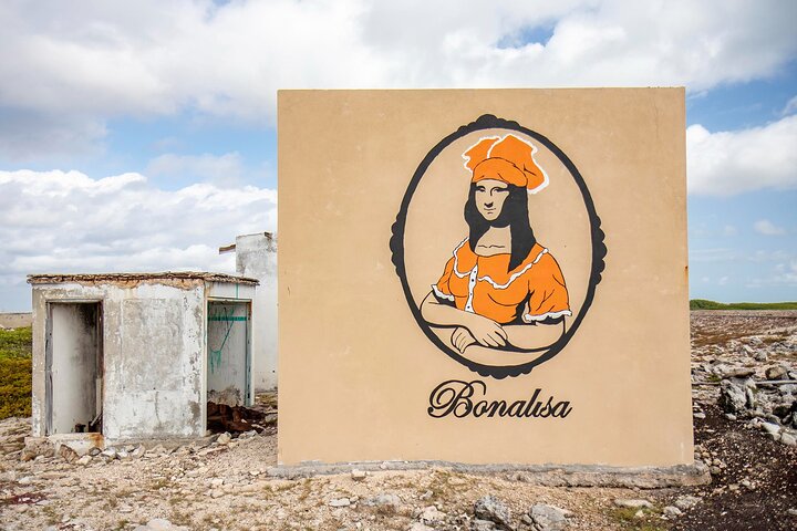 Private Tour in South Bonaire - Flamingos and Salt flats