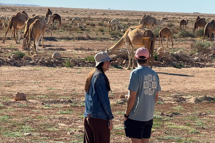 Avventura in 4×4 nel deserto di Dakhla – Duna Bianca e Oasi di Imlili