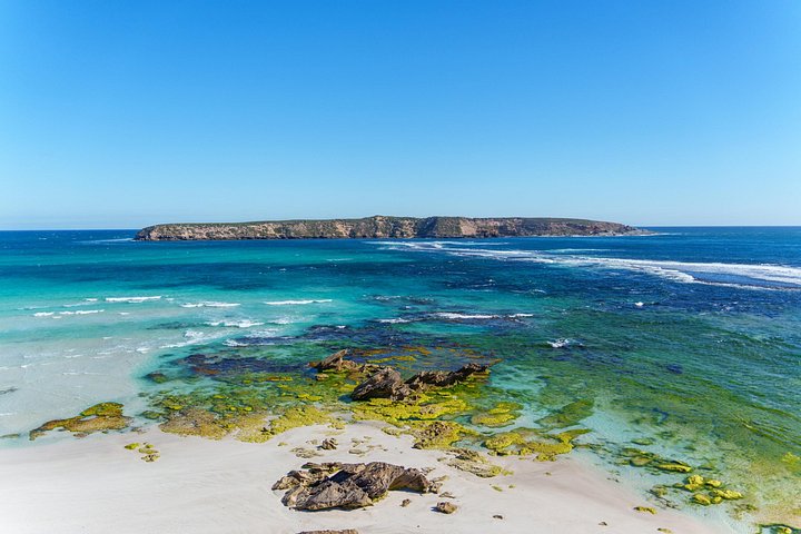 Coffin Bay Tour med Oyster Shucking og Off Road Adventure