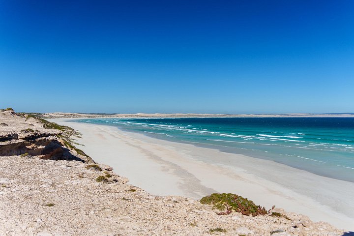 Coffin Bay Tour med Oyster Shucking og Off Road Adventure