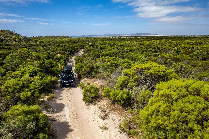 Coffin Bay Tour med Oyster Shucking og Off Road Adventure